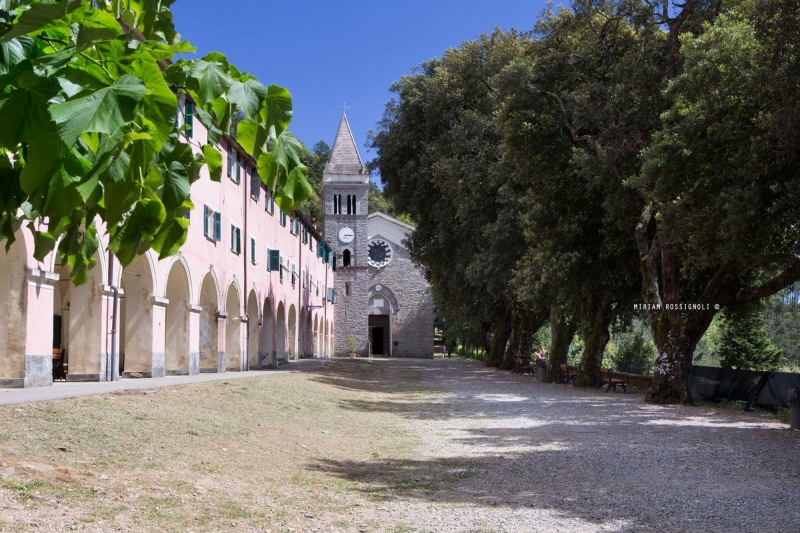 monterosso-soviore