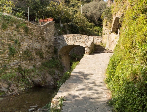 Trekking: Monterosso – Eremo della Maddalena