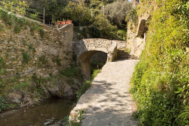 monterosso-maddalena