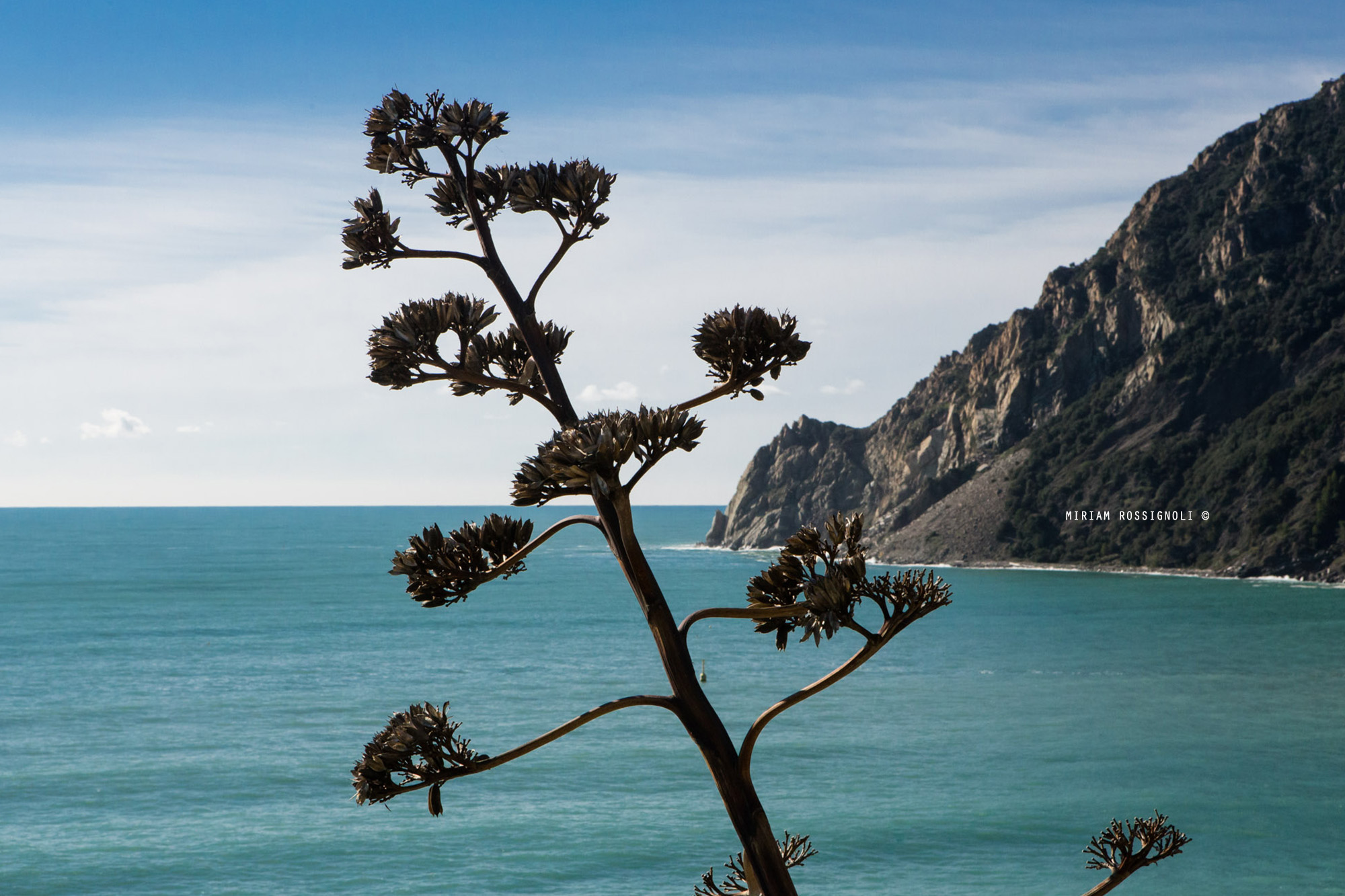 monterosso-photo-miriam-rossignoli-per-proloco