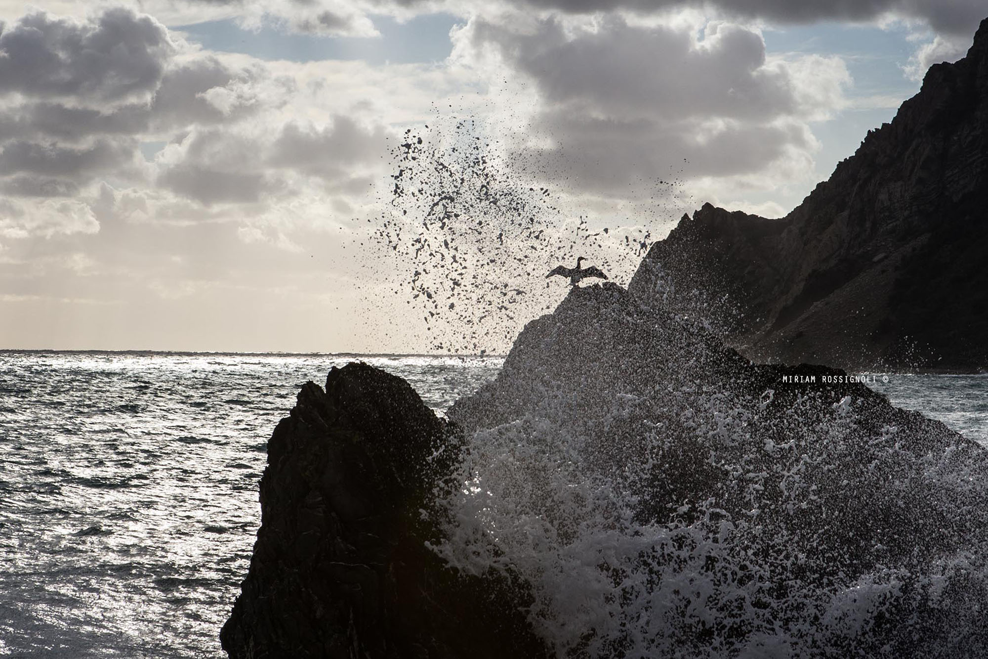 monterosso-photo-miriam-rossignoli-5-terre-monterosso-proloco-local-photographer